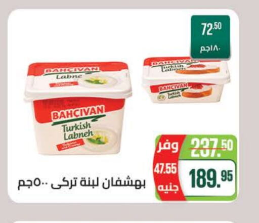 Labneh available at Seoudi Supermarket in Egypt - Cairo