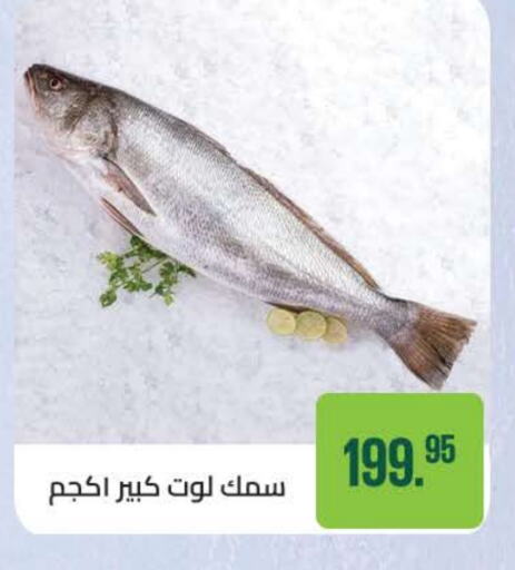 available at سعودي سوبرماركت in Egypt - القاهرة