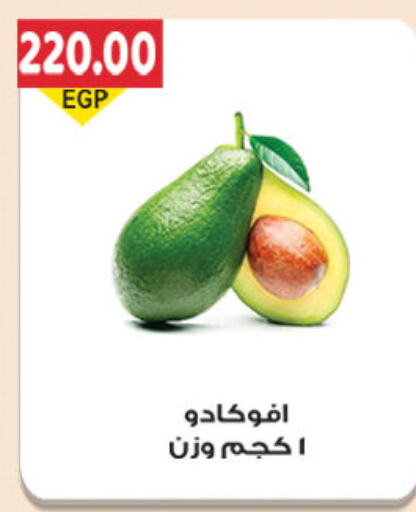 Avacado available at El Gizawy Market   in Egypt - Cairo