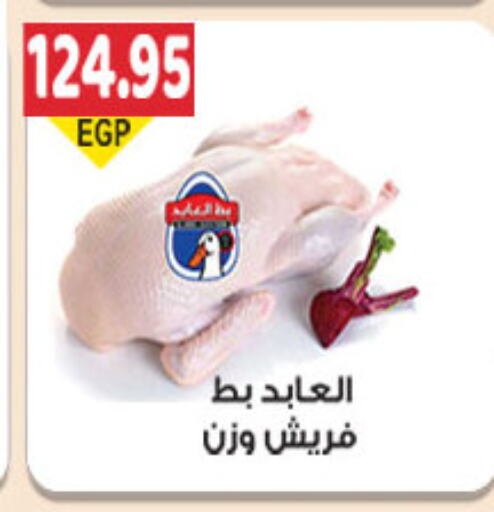 available at الجيزاوى ماركت in Egypt - القاهرة