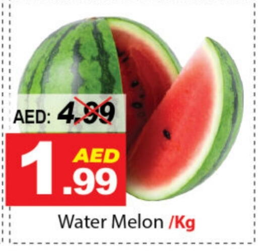 Melon available at ديزرت فريش ماركت in الإمارات العربية المتحدة , الامارات - أبو ظبي