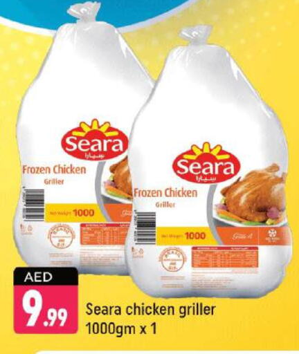 SEARA Frozen Whole Chicken available at Shaklan  in UAE - Dubai