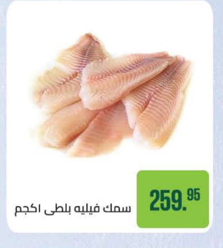 available at سعودي سوبرماركت in Egypt - القاهرة