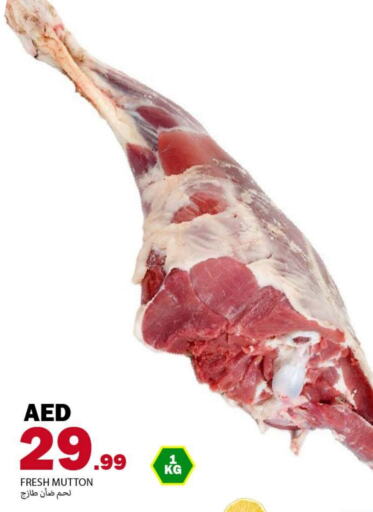 Mutton / Lamb available at Rawabi Market Ajman in UAE - Sharjah / Ajman