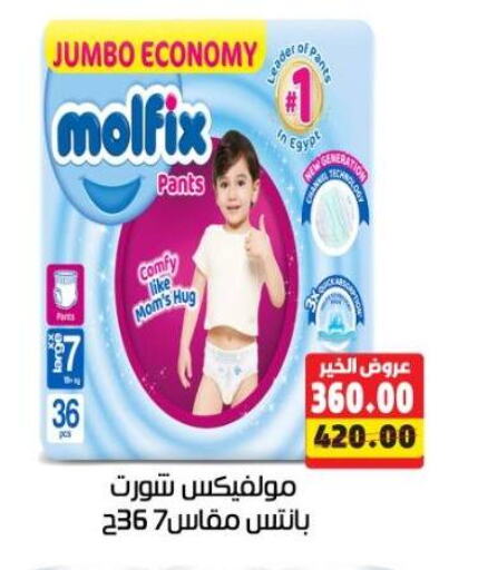 MOLFIX available at Master Gomla Market in Egypt - Cairo