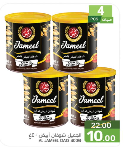 Oats available at Mazaya in KSA, Saudi Arabia, Saudi - Saihat