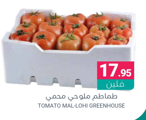 Tomato available at Muntazah Markets in KSA, Saudi Arabia, Saudi - Dammam