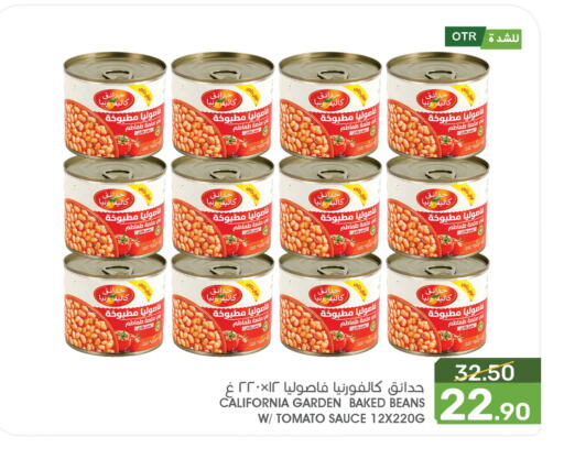 Tomato available at  مـزايــا in مملكة العربية السعودية, السعودية, سعودية - سيهات