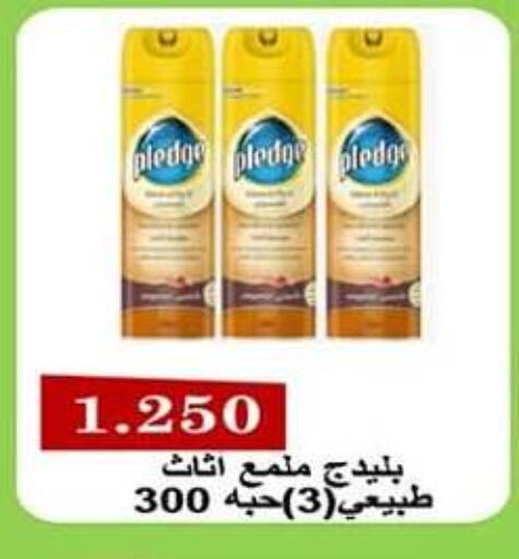 PLEDGE Furniture Care available at Sabah Al-Nasser Cooperative Society in Kuwait - Kuwait City