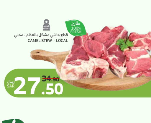 لحم حاشي available at الراية in مملكة العربية السعودية, السعودية, سعودية - القنفذة