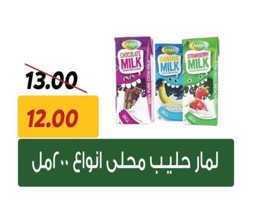 Flavoured Milk available at Sarai Market  in Egypt - Cairo