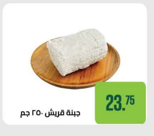 available at سعودي سوبرماركت in Egypt - القاهرة