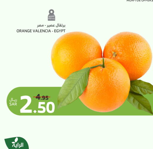 Orange available at الراية in مملكة العربية السعودية, السعودية, سعودية - الباحة