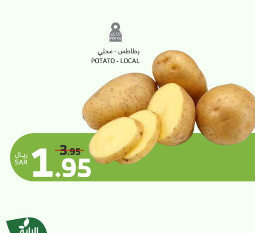 Potato available at الراية in مملكة العربية السعودية, السعودية, سعودية - الطائف