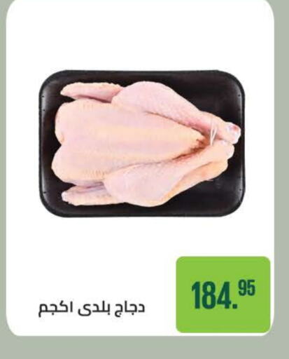 available at سعودي سوبرماركت in Egypt - القاهرة