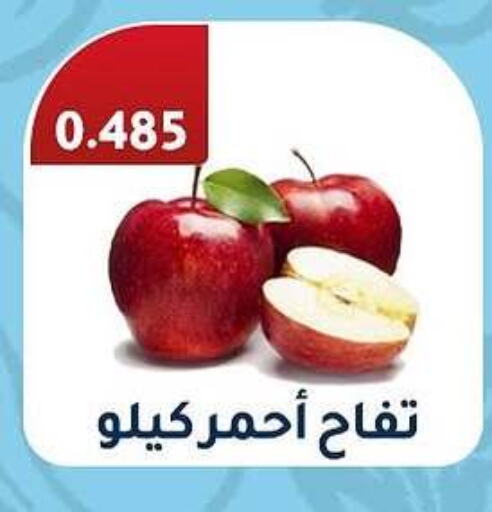 تفاح available at جمعية فحيحيل التعاونية in الكويت - مدينة الكويت