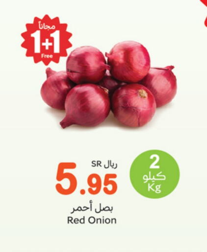 Onion available at Othaim Markets in KSA, Saudi Arabia, Saudi - Dammam