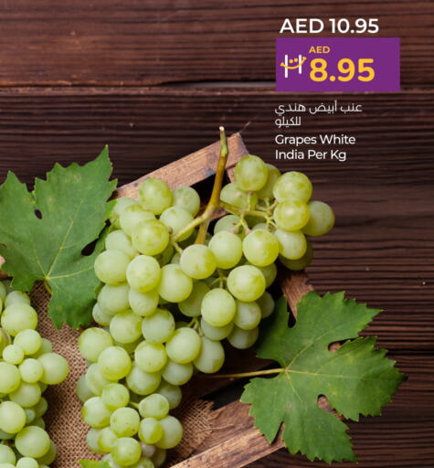 عنب from India available at لولو هايبرماركت in الإمارات العربية المتحدة , الامارات - ٱلْفُجَيْرَة‎