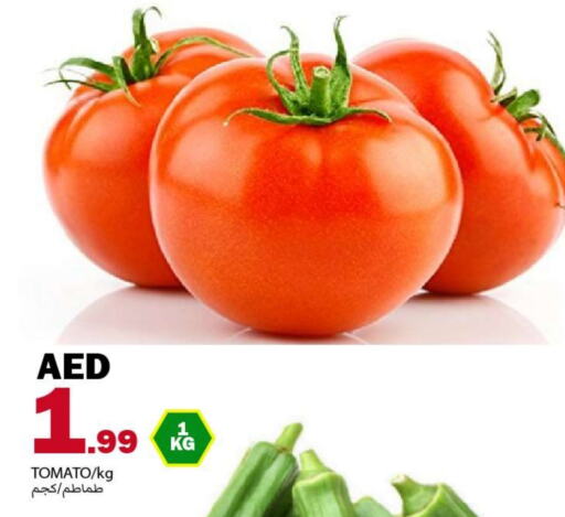 Tomato available at Rawabi Market Ajman in UAE - Sharjah / Ajman