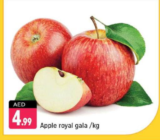 Apples available at Shaklan  in UAE - Dubai