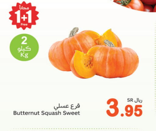 Squash available at Othaim Markets in KSA, Saudi Arabia, Saudi - Saihat