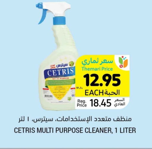 General Cleaner available at Tamimi Market in KSA, Saudi Arabia, Saudi - Ar Rass