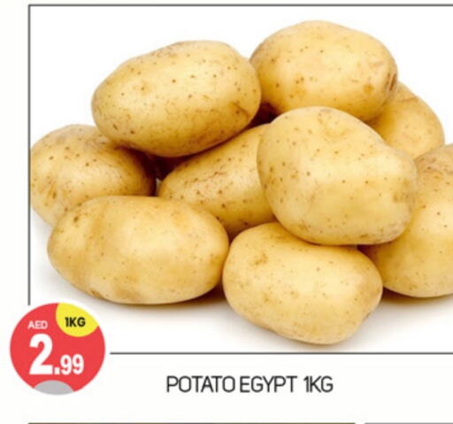 Potato from Egypt available at TALAL MARKET in UAE - Dubai