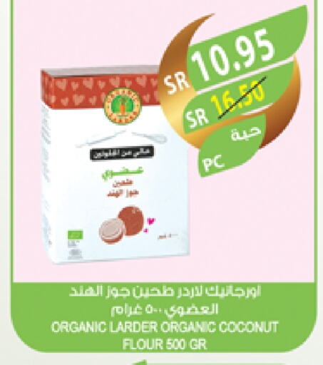 Coconut available at المزرعة in مملكة العربية السعودية, السعودية, سعودية - عرعر