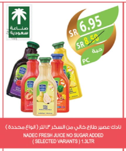 NADEC available at Farm  in KSA, Saudi Arabia, Saudi - Yanbu