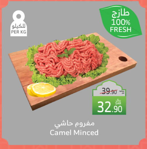 لحم حاشي available at الراية in مملكة العربية السعودية, السعودية, سعودية - أبها