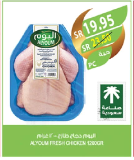 Fresh Whole Chicken available at Farm  in KSA, Saudi Arabia, Saudi - Sakaka