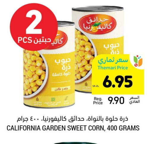 كاليفورنيا جاردن available at أسواق التميمي in مملكة العربية السعودية, السعودية, سعودية - الرس