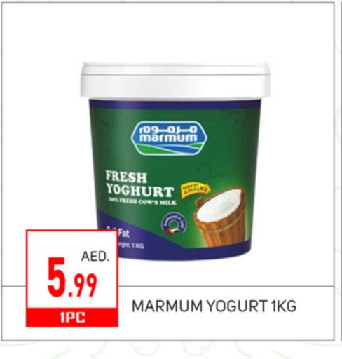 Yoghurt available at TALAL MARKET in UAE - Sharjah / Ajman