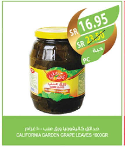 كاليفورنيا جاردن available at المزرعة in مملكة العربية السعودية, السعودية, سعودية - ينبع