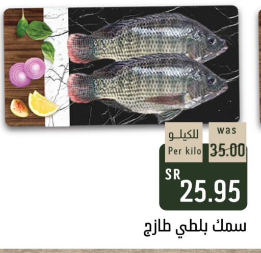 available at شبرا الطائف in مملكة العربية السعودية, السعودية, سعودية - الطائف