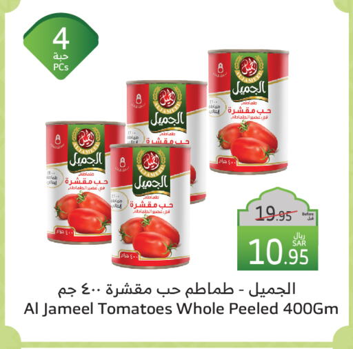 Tomato available at Al Raya in KSA, Saudi Arabia, Saudi - Al Bahah