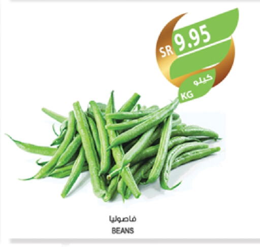 Beans available at Farm  in KSA, Saudi Arabia, Saudi - Sakaka