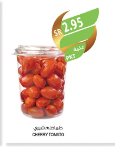 Tomato available at Farm  in KSA, Saudi Arabia, Saudi - Sakaka