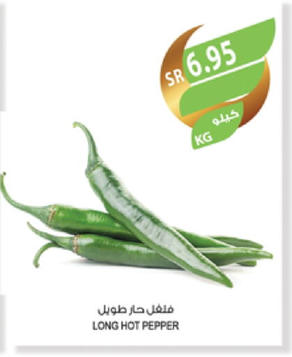 Chilli / Capsicum available at Farm  in KSA, Saudi Arabia, Saudi - Sakaka