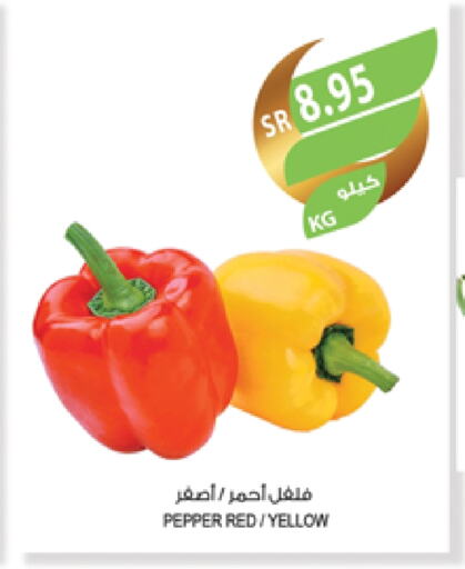 Chilli / Capsicum available at Farm  in KSA, Saudi Arabia, Saudi - Sakaka