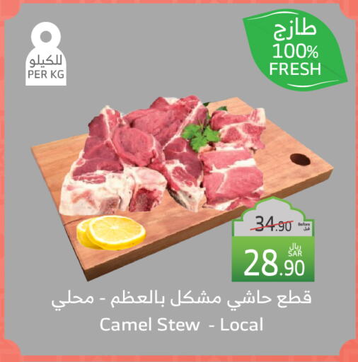 لحم حاشي available at الراية in مملكة العربية السعودية, السعودية, سعودية - أبها