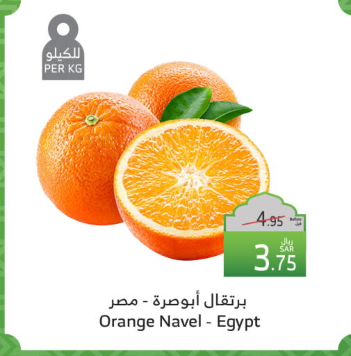 Orange from Egypt available at Al Raya in KSA, Saudi Arabia, Saudi - Tabuk