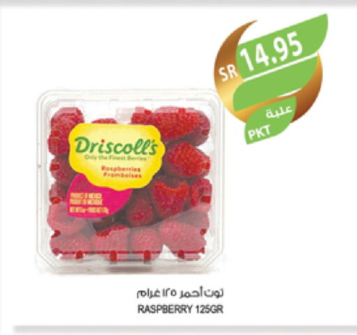 Berries available at Farm  in KSA, Saudi Arabia, Saudi - Al-Kharj