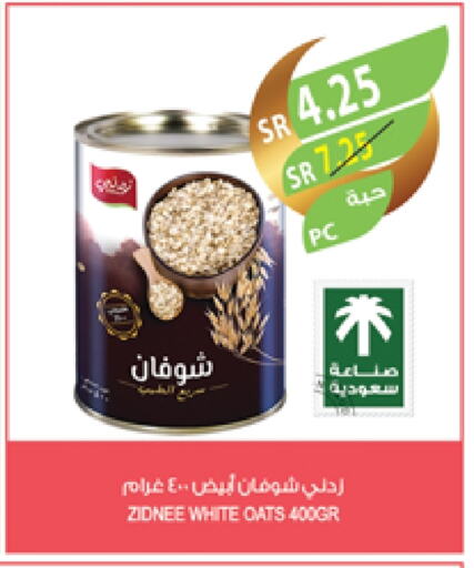 Oats available at Farm  in KSA, Saudi Arabia, Saudi - Tabuk