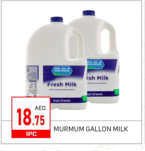 Fresh Milk available at TALAL MARKET in UAE - Sharjah / Ajman