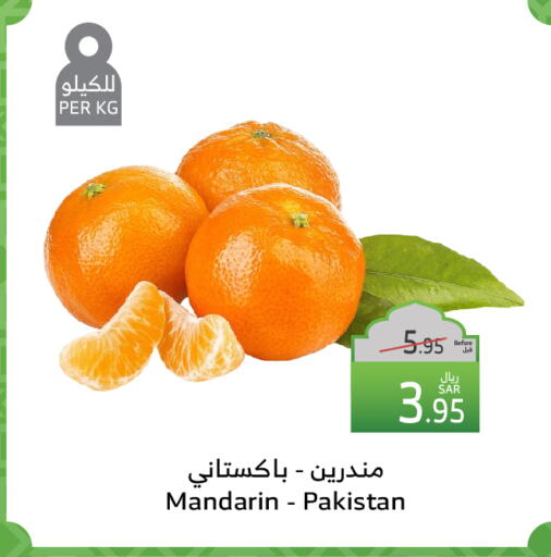 برتقال from Pakistan available at الراية in مملكة العربية السعودية, السعودية, سعودية - الباحة