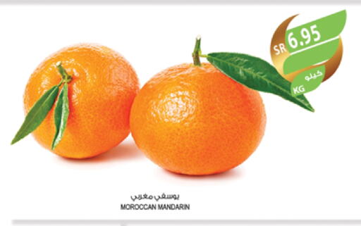 Orange from Morocco available at Farm  in KSA, Saudi Arabia, Saudi - Tabuk