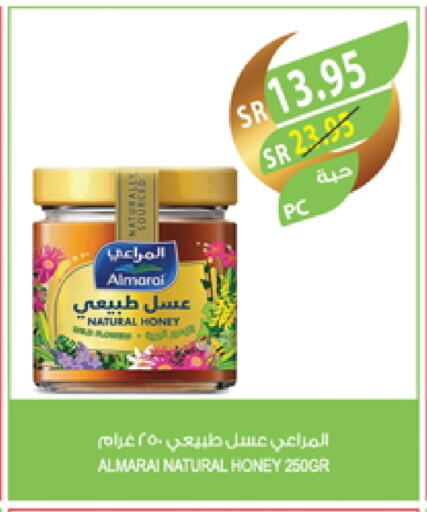 Honey available at Farm  in KSA, Saudi Arabia, Saudi - Abha