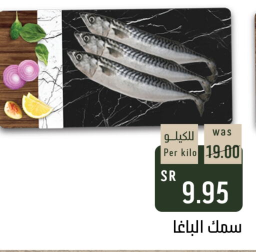 available at شبرا الطائف in مملكة العربية السعودية, السعودية, سعودية - الطائف