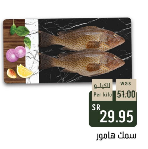 available at شبرا الطائف in مملكة العربية السعودية, السعودية, سعودية - الطائف